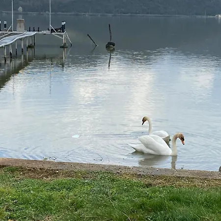 Kuca Za Odmor Eagle's Nest Ferienhaus Brnjica