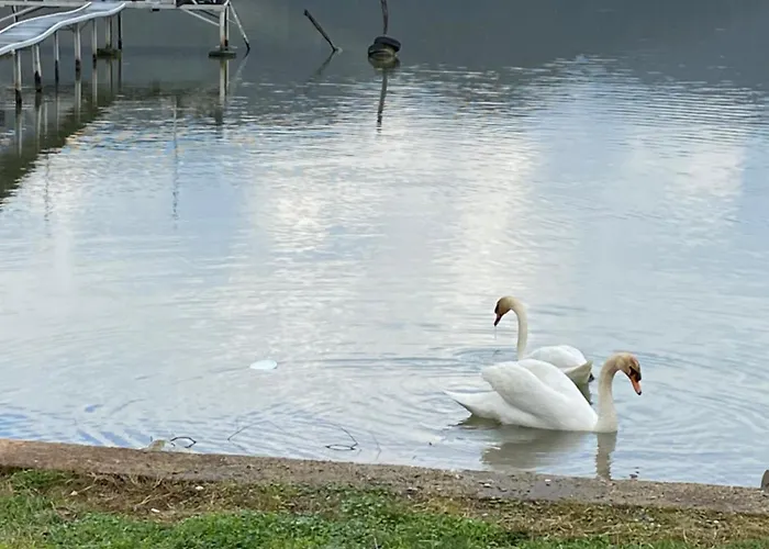 Kuca Za Odmor Eagle's Nest 別荘 Brnjica